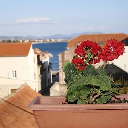 Apartman Vila&zora Vodice